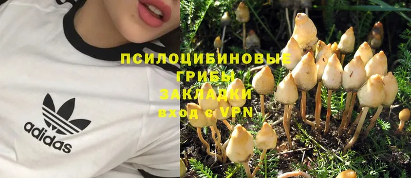 Галлюциногенные грибы Magic Shrooms  Воркута 